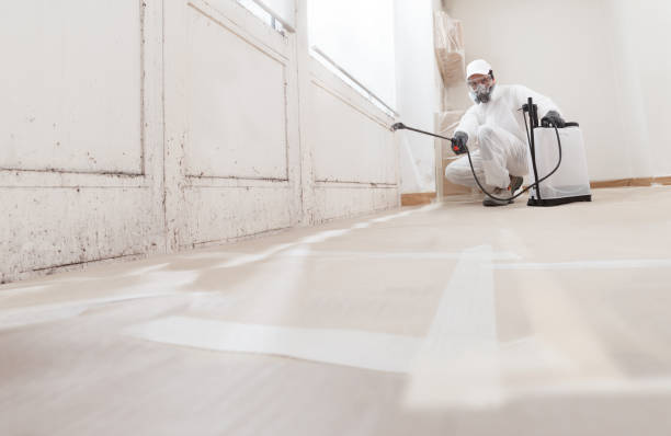 24/7 Emergency Black Mold Remediation experts in Algonquin, MD