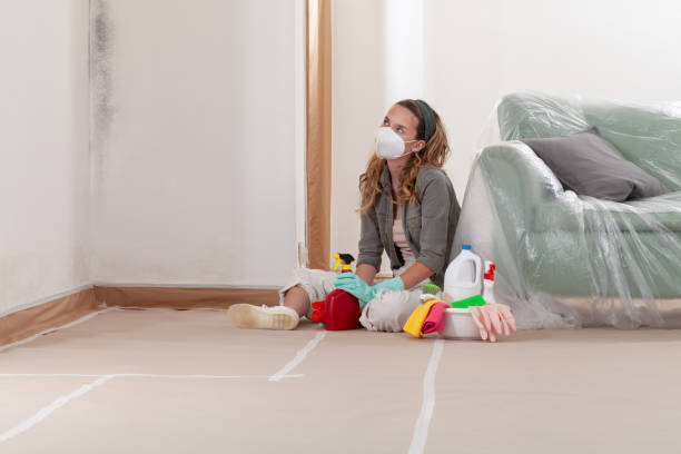 Reliable Black Mold Remediation contractor in Algonquin, MD by Mold Remediation HQ